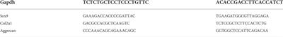 Superwettable and injectable GelMA-MSC microspheres promote cartilage repair in temporomandibular joints